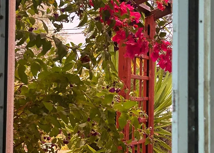 Peaceful Portuguese * Alcoutim